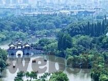 大象传媒影院-探索大象传媒影院的多元魅力与文化影响