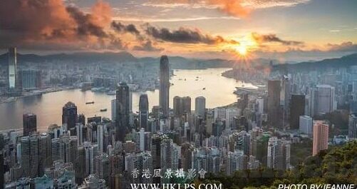 大象传媒在线免费看-大象传媒，在线免费观影的精彩世界