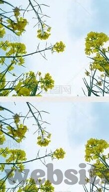 国产麻豆短视频-国产麻豆短视频，文化与商业的双刃剑