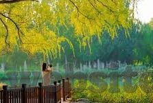 久热在线观看中文字幕-久热在线，中文字幕下的文化桥梁
