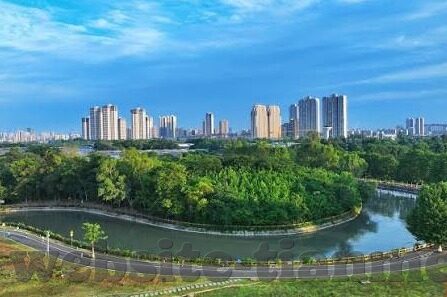 麻豆91av-麻豆91av，深入理解网络世界的边界与影响