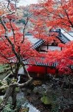 日韩av 怡红院电影网-探索成人娱乐的灰色地带，日韩AV与怡红院电影网的迷思